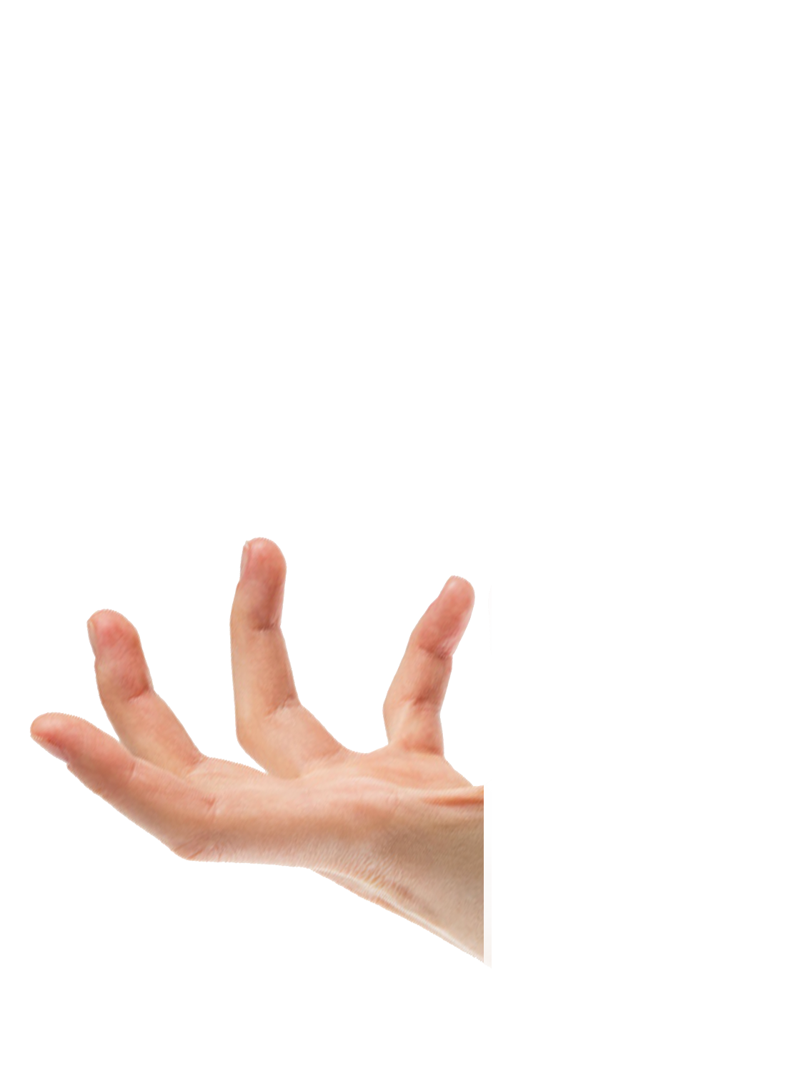 hinh ban tay thiết kế web a1