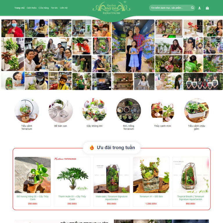 Theme wordpress bán cây xanh terrarium