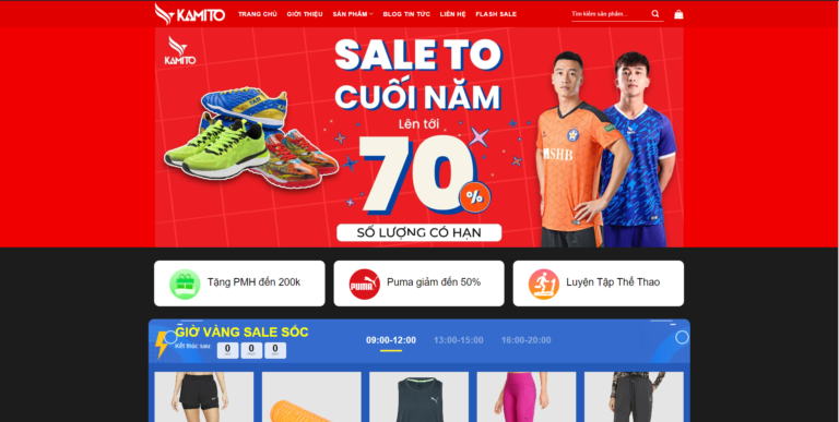 Theme wordpress bán giày dép