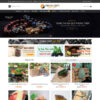 Theme wordpress flatsome phong thủy 01 2 phongthuy1